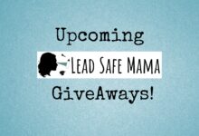 leadsafemama